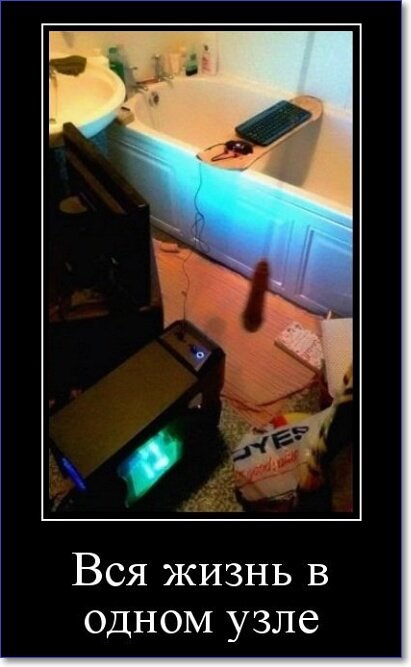 Новые демотиваторы 2019 года