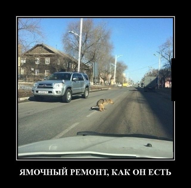 Угарные демотиваторы (29 фото)