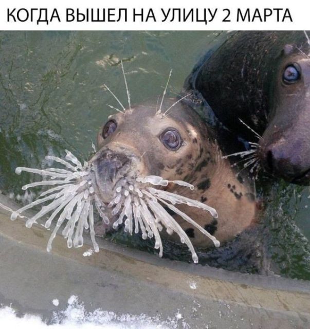 Дело было так… (25 фото)