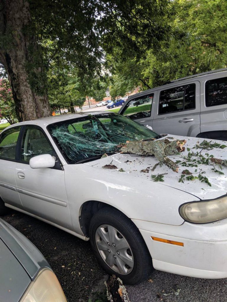 Бывают в жизни огорчения (39 фото)