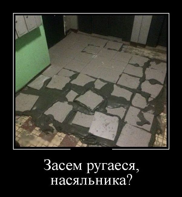 Новые и свежие демотиваторы, август 2019г. (22 фото)