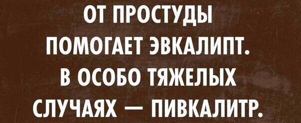 Угарные картинки про алкоголь, днем рождения