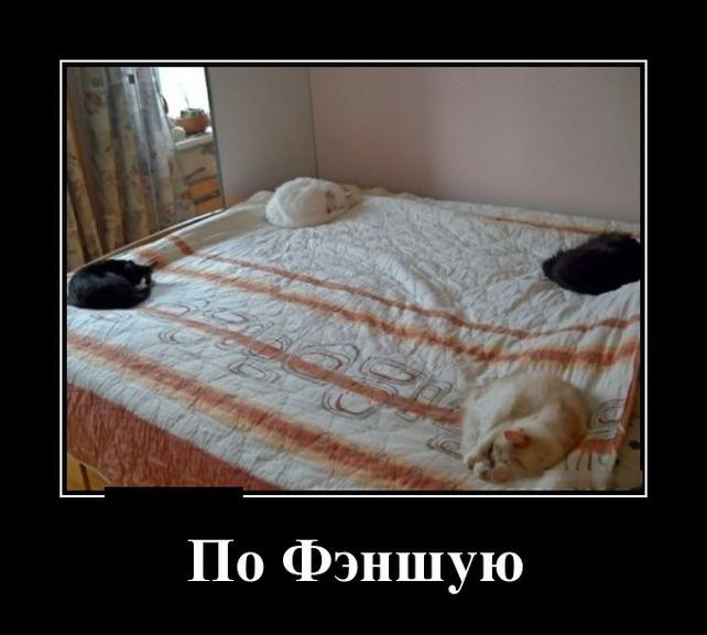 Угарные демотиваторы (29 фото)