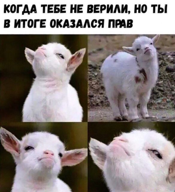 Дело было так… (25 фото)