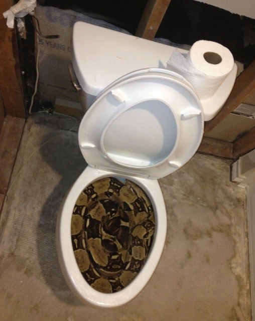 Фейлы и неприятные моменты (29 фото)