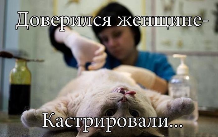 Хочешь разориться? Заведи женщину или сельское хозяйство (21 фото)