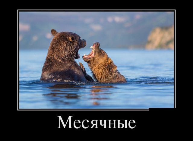 Свежие российские демотиваторы 2019 (30 фото)