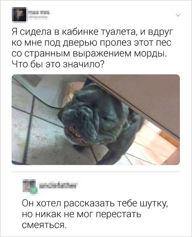 Ох, нелегкая эта работа - в комментариях шутить (15 скриншотов)