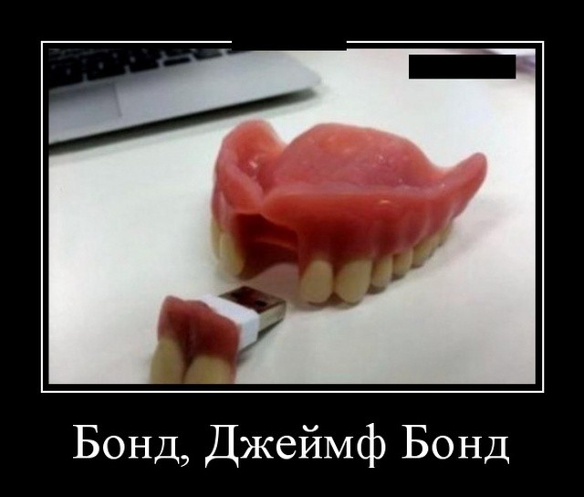 Демотиваторы про животных: котов, медведей и не только Демотиваторы про животных: котов, медведей и не только