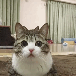 Полная синхронизация (14 гифок)