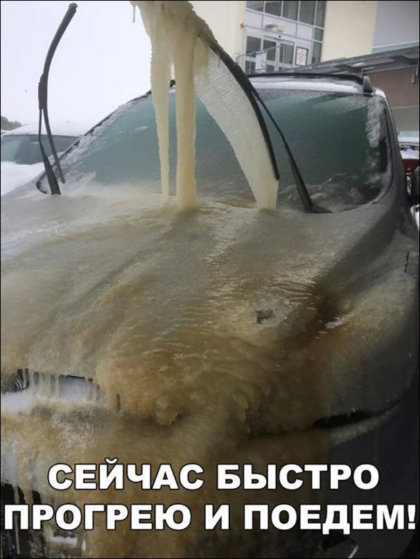 Убойные мемы и прикольные фото (30 фото)