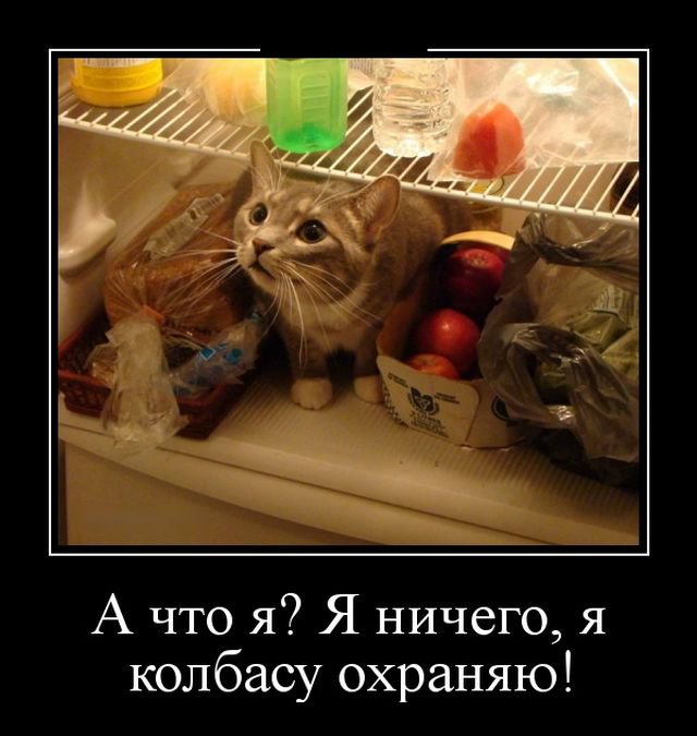 Прикольные картинки демотиваторы (30 фото) Прикольные картинки демотиваторы (30 фото)
