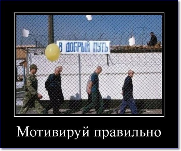 Новые демотиваторы 2019 года