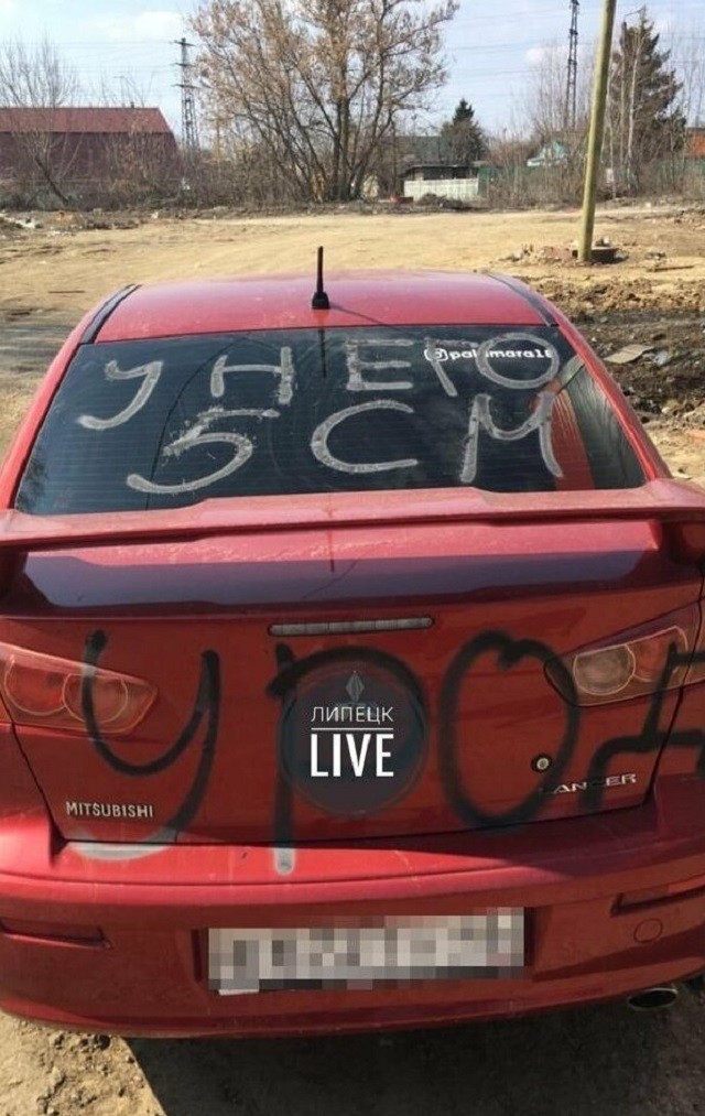 Суровая женская месть (14 фото)