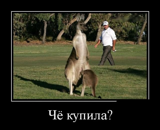 Прикольные картинки демотиваторы (30 фото) Прикольные картинки демотиваторы (30 фото)