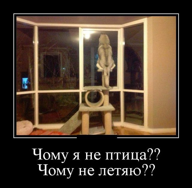 Прикольные картинки демотиваторы (30 фото) Прикольные картинки демотиваторы (30 фото)