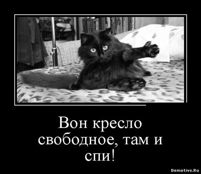 Угарные демотиваторы (29 фото)