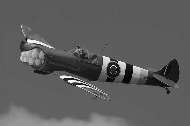 Хаски высунулся в окно и стал героем фотошоп-батла (15 фото)