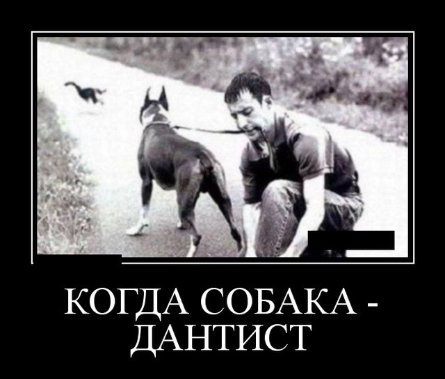 Демотиваторы про девушек, детей и чудаков