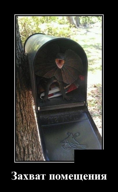 Забавные демотиваторы июля 2019 года Забавные демотиваторы июля 2019 года