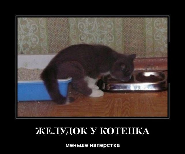 Угарные демотиваторы (29 фото)