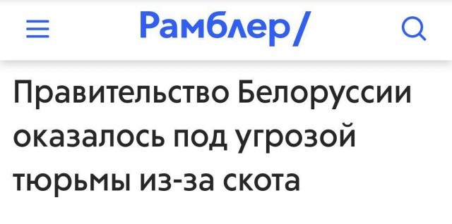 Забавные и странные заголовки, которые заставят вас улыбнуться (24 фото)
