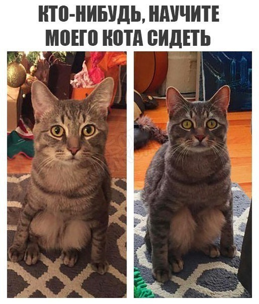 Забавные картинки без смысловой нагрузки (35 фото)