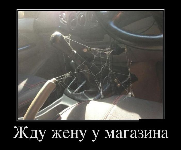 Угарные демотиваторы (29 фото)