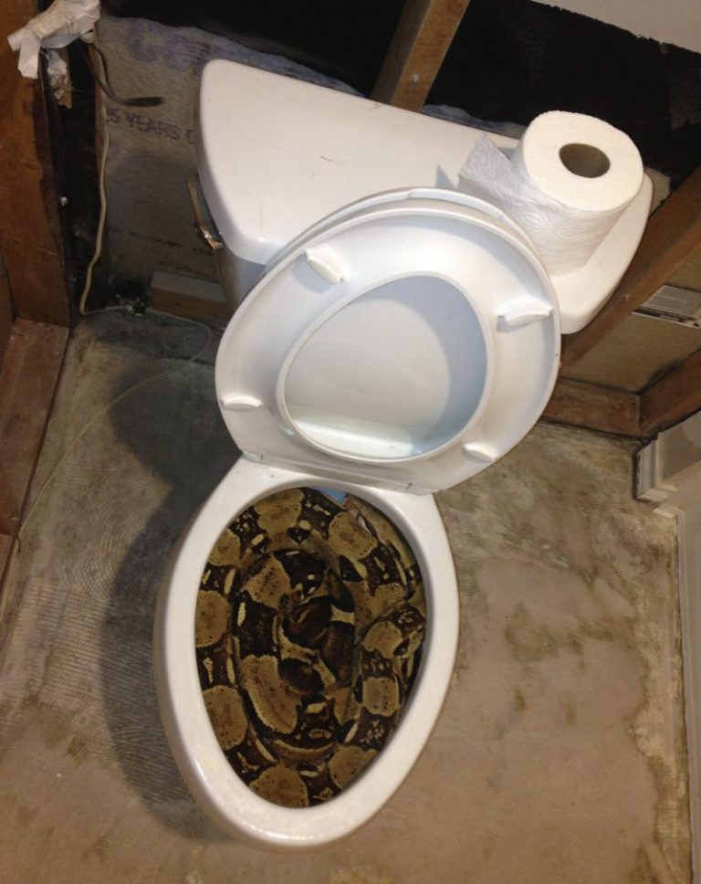 Бывают в жизни огорчения (39 фото)