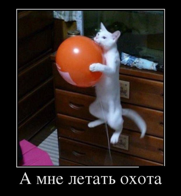 Свежие российские демотиваторы 2019 (30 фото)