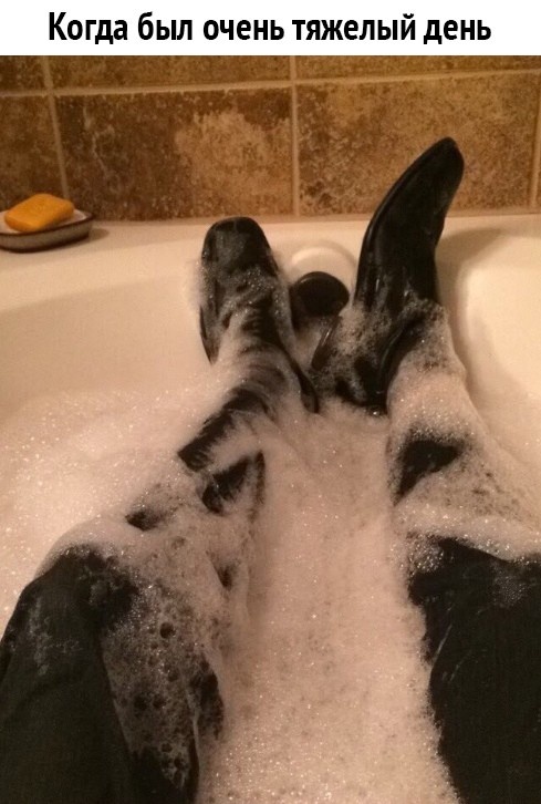 Забавные картинки без смысловой нагрузки (35 фото)