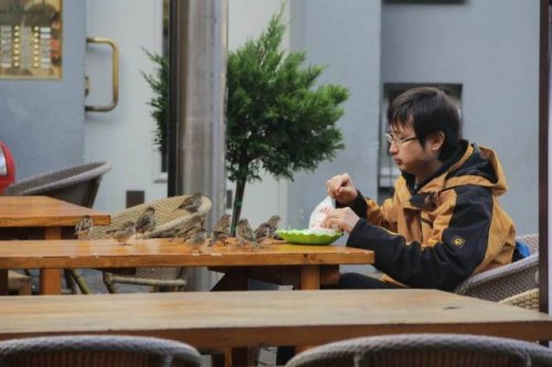 Свежая подборка прикольных мемов (33 картинки)