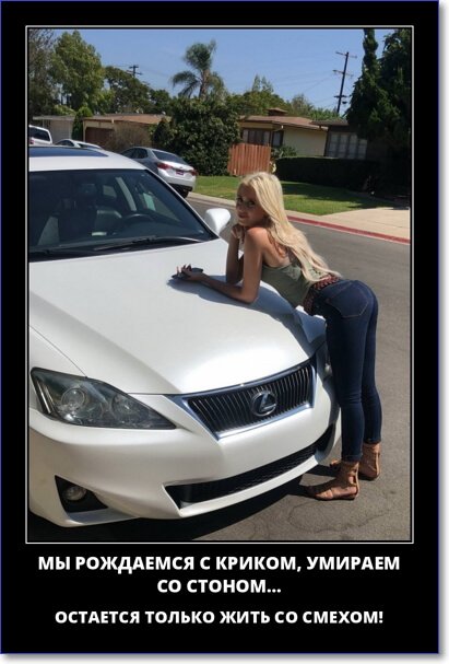 Новые демотиваторы 2019 года