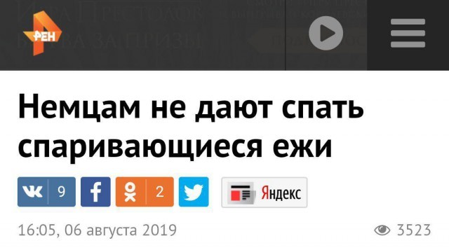 Забавные и странные заголовки, которые заставят вас улыбнуться (24 фото)