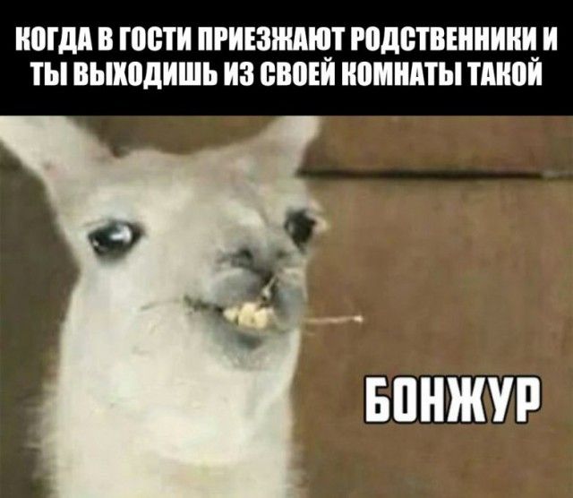 Дело было так… (25 фото)