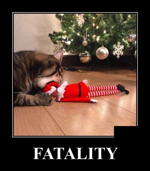 Забавные демотиваторы июля 2019 года Забавные демотиваторы июля 2019 года