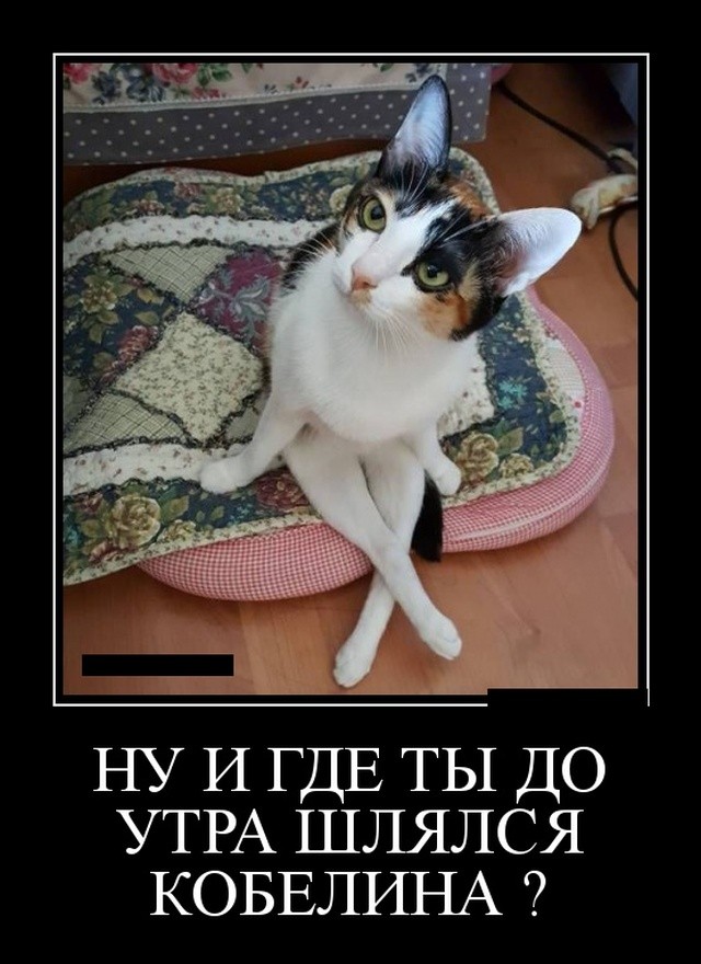 Прикольные демотиваторы июля про нашу жизнь