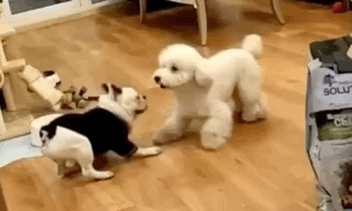 Полная синхронизация (14 гифок)