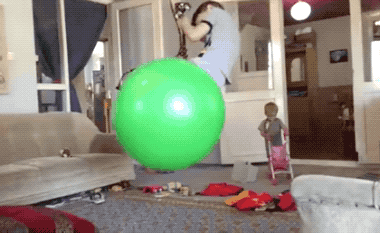 Это было действительно неожиданно (18 гифок)