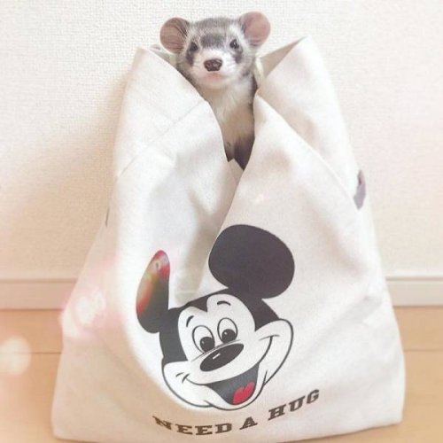 Свежая подборка прикольных мемов (33 картинки)