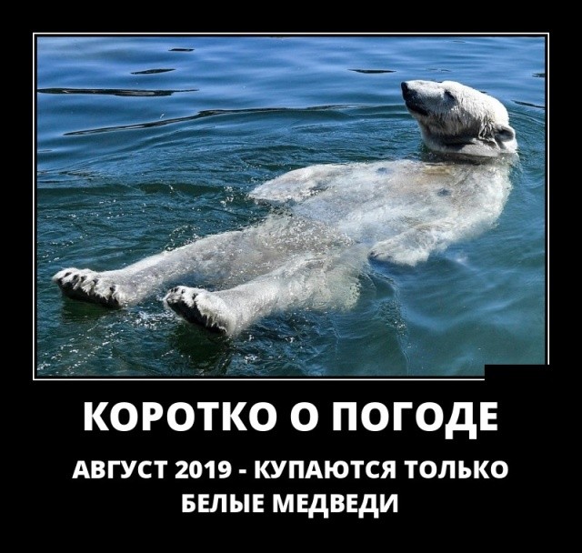 Демотиваторы про животных: котов, медведей и не только Демотиваторы про животных: котов, медведей и не только