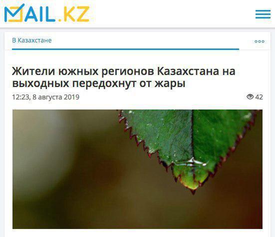 Забавные и странные заголовки, которые заставят вас улыбнуться (24 фото)