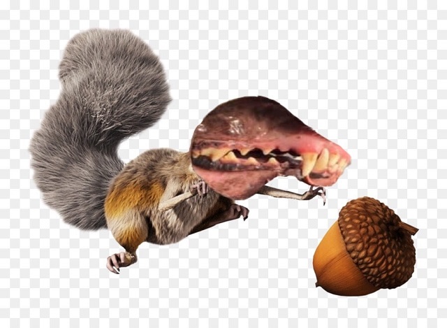 Хаски высунулся в окно и стал героем фотошоп-батла (15 фото)