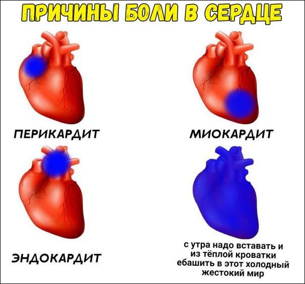 Убойные мемы и прикольные фото (30 фото)