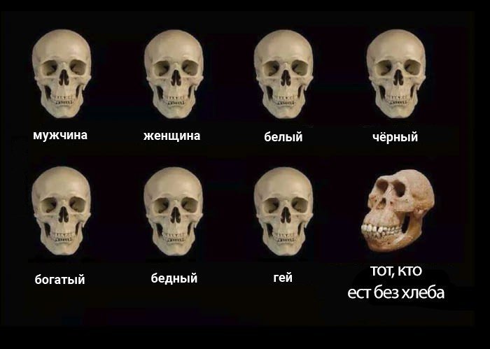 Мемы и прикольные картинки про хлеб и булочки (37 фото) Мемы и прикольные картинки про хлеб и булочки (37 фото)