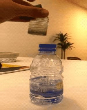 Это было действительно неожиданно (18 гифок)