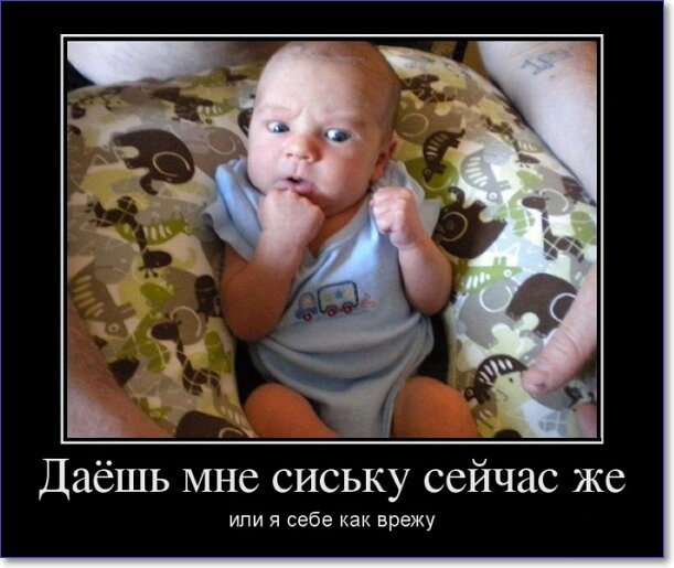 Новые демотиваторы 2019 года