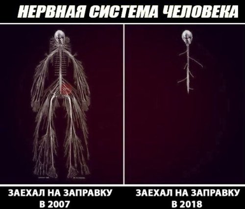 Свежая подборка прикольных мемов (33 картинки)