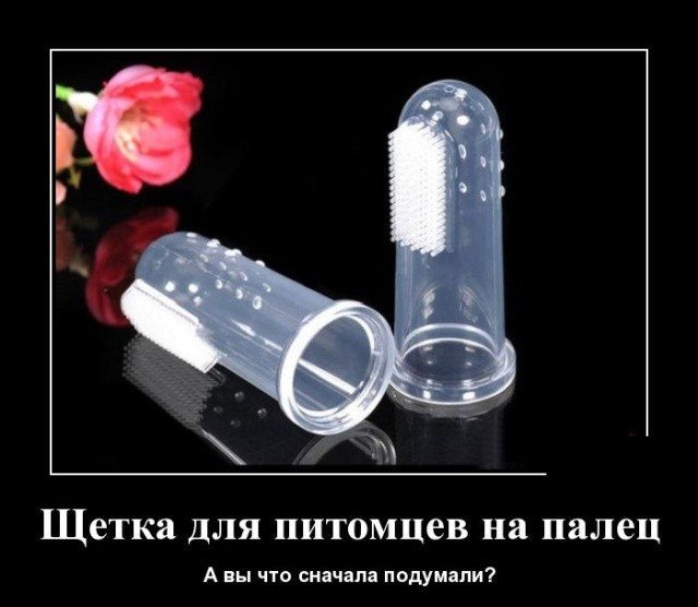 Демотиваторы с юмором к 1-му сентября Демотиваторы с юмором к 1-му сентября