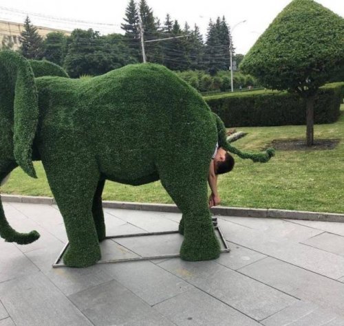 Свежая подборка прикольных мемов (33 картинки)